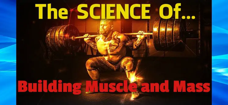Science of Building Muscle and Gaining Mass