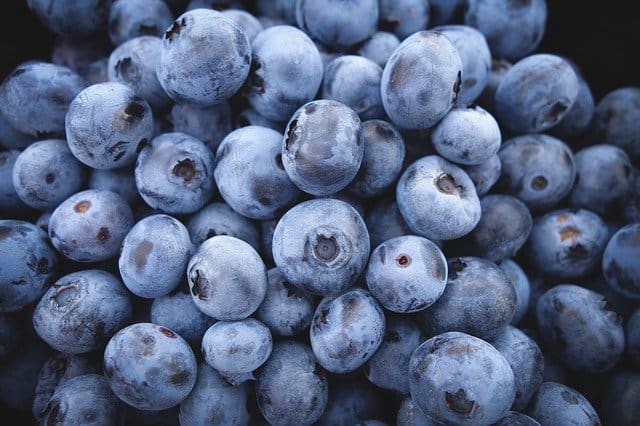 Blueberries are a super food