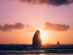 Monday Motivation #001