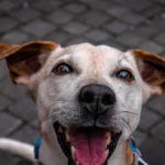 hubi-img-67vsZ_nGKEE-unsplash